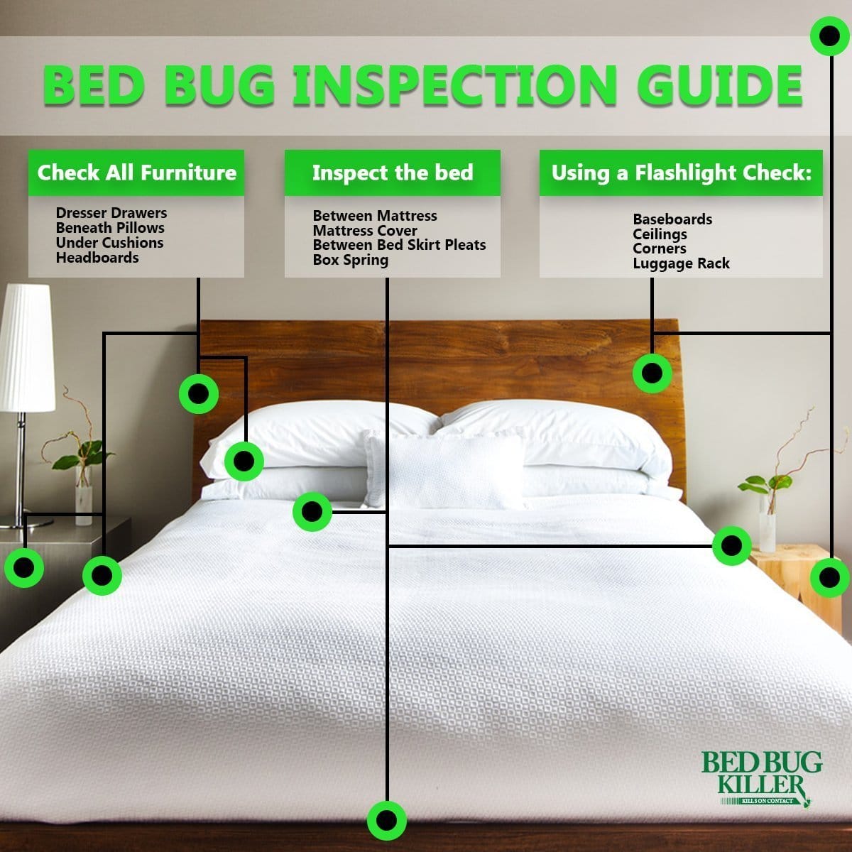 Detecting bed bugs