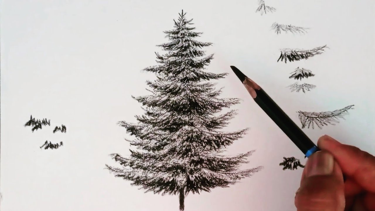 How to Properly Draw a Tree: Essential Tips for Beginners in 2025