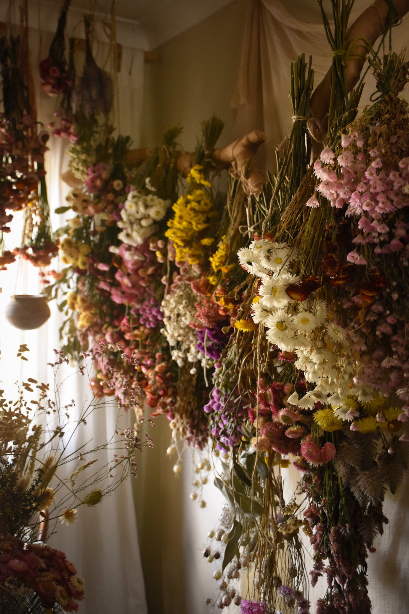 How to Properly Dry Flowers: 5 Effective Methods for Lasting Beauty in 2025