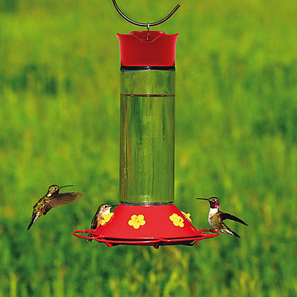 Effective Guide to Making Hummingbird Food in 2025: Simple Recipes to Attract Birds