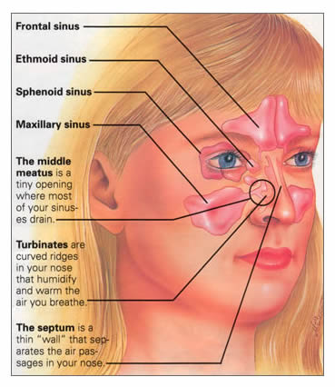 Effective Ways to Unstuff Your Nose