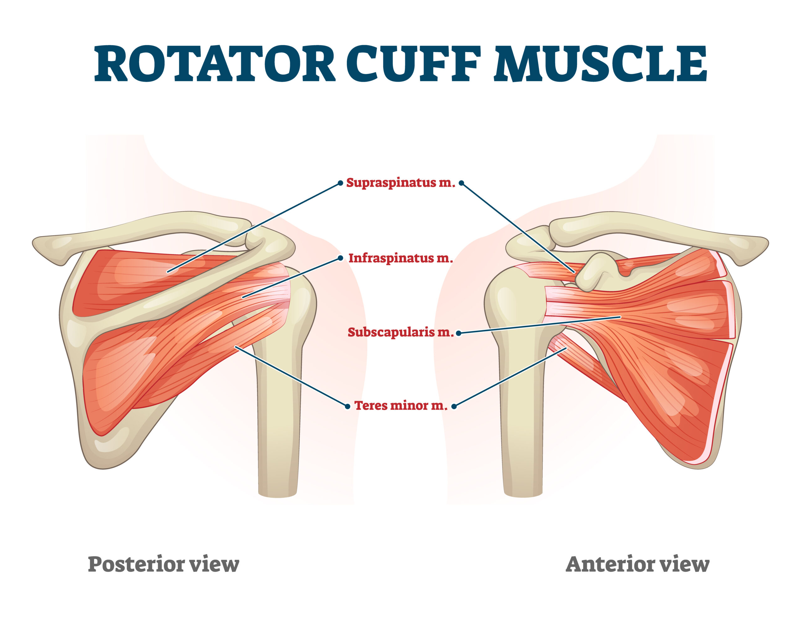 Methods for Relief from Shoulder Pain