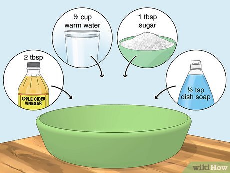 Gnat control methods