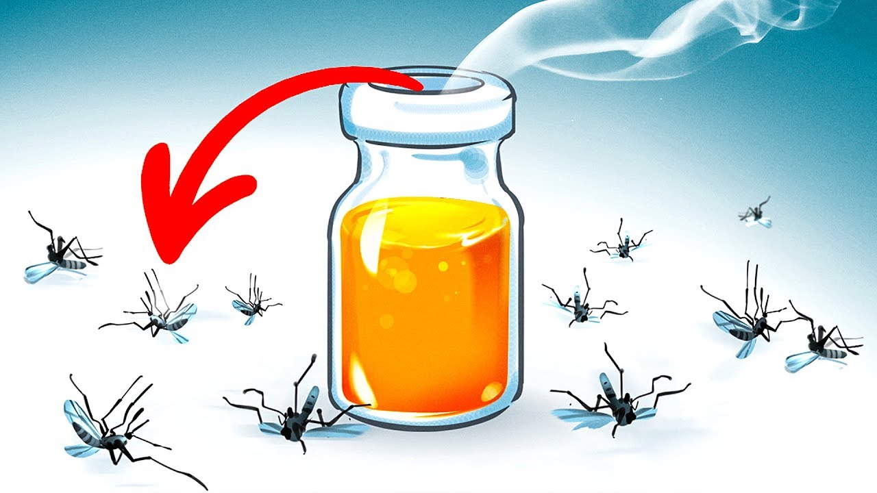 Effective Ways to Get Rid of Mosquitoes in Your Home This Summer 2025