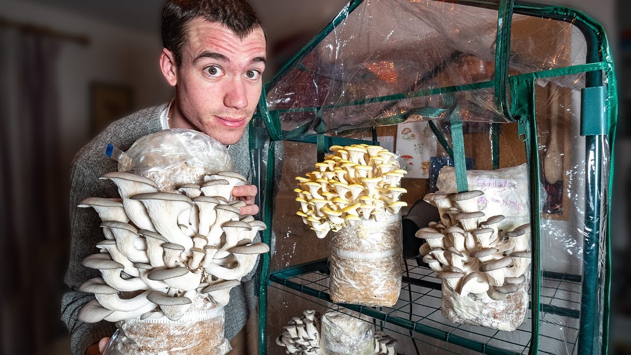 Mushroom Cultivation